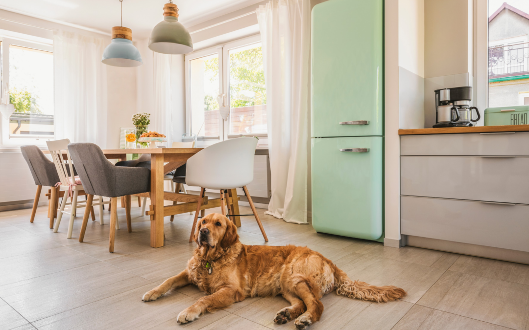 The Best Dog Friendly Flooring Options